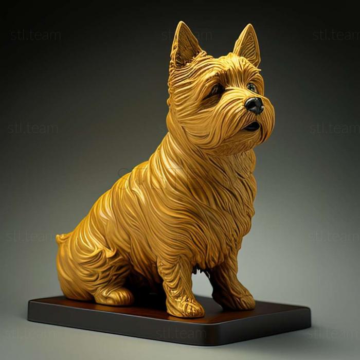 3D model Norwich Terrier dog (STL)